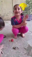 Cute Baby Crying for Died Bird Amazing Videos 2016 - 2017