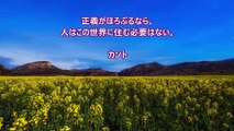 長谷川桜子（慣らし保育アドバイザー）～子どもに読み聞かせたい言葉「カント」