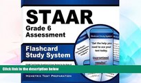 Big Deals  STAAR Grade 6 Assessment Flashcard Study System: STAAR Test Practice Questions   Exam