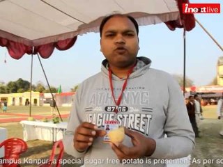 Sugar free potatoes at CSAU campus Kanpur