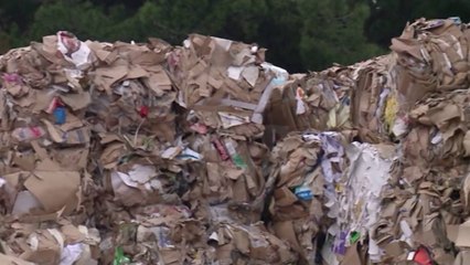 Report TV - Firma e Ben Blushit për djegien e plehrave në furrat e Becchettit