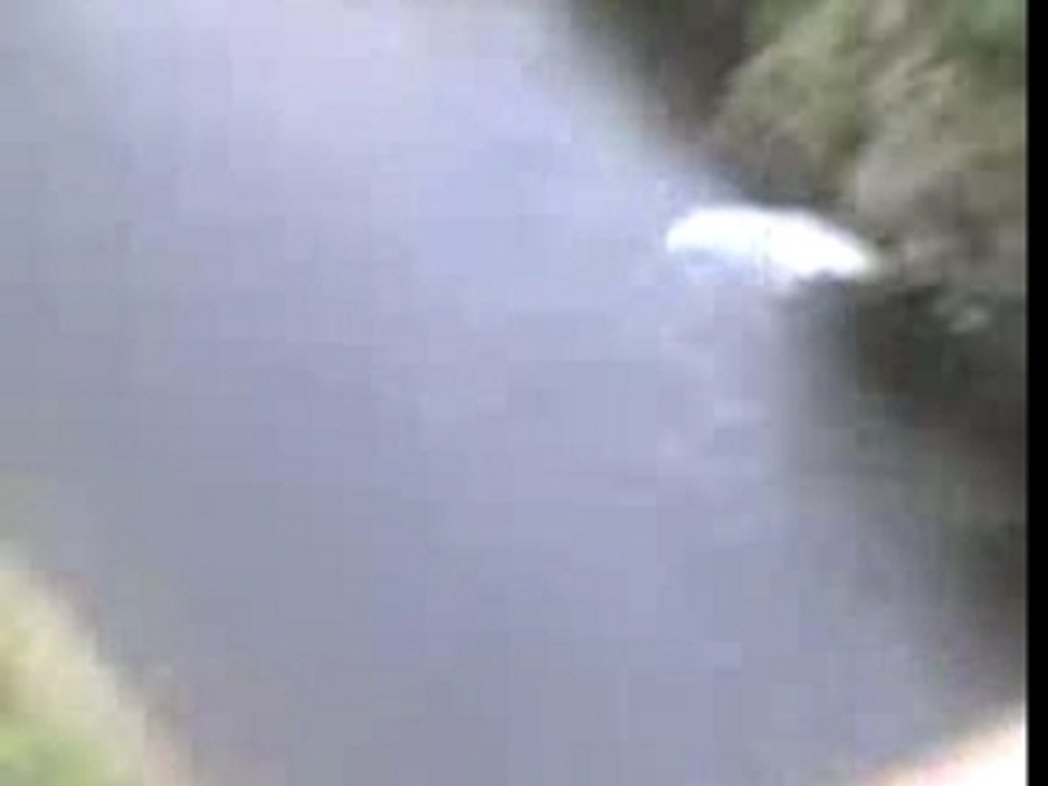 Anto-Saut