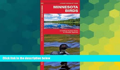 Big Deals  Minnesota Birds: A Folding Pocket Guide to Familiar Species (Pocket Naturalist Guide