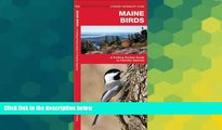 Big Deals  Maine Birds: A Folding Pocket Guide to Familiar Species (Pocket Naturalist Guide