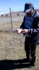 altın arama cubukları pirinç cubuk ve civa