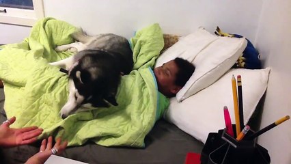 When you're in denial that you have to wake up  (santa-banta-group)