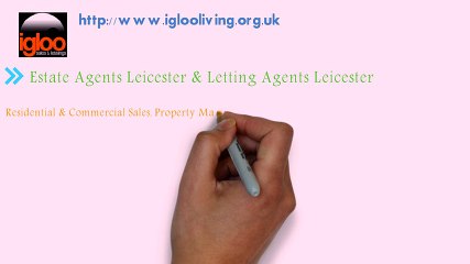 Igloo Sales and Lettings
