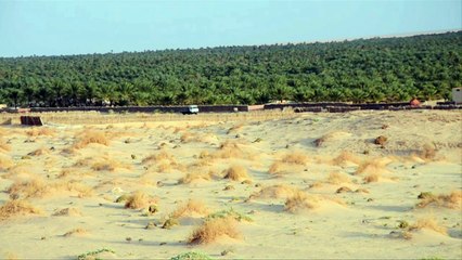 اكتشاف أثري يظهر وجود الانسان جنوب تونس قبل نحو 100 ألف عام