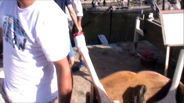 Jours de Vienne - Chatellerault 2016