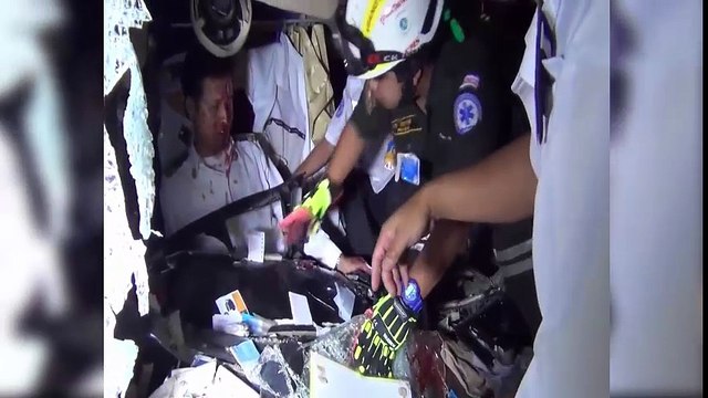 Elephant vs. Tourbus