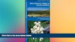 Big Deals  New Mexico Trees   Wildflowers: A Folding Pocket Guide to Familiar Species (Pocket