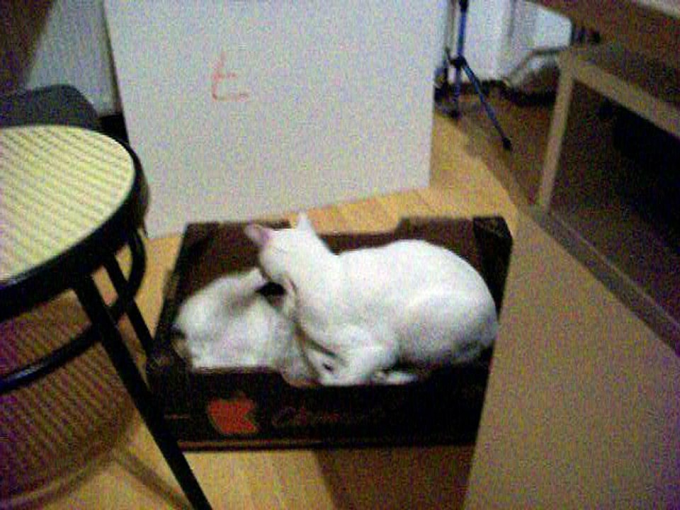 Harvey und Vinzent am 29.09.2016