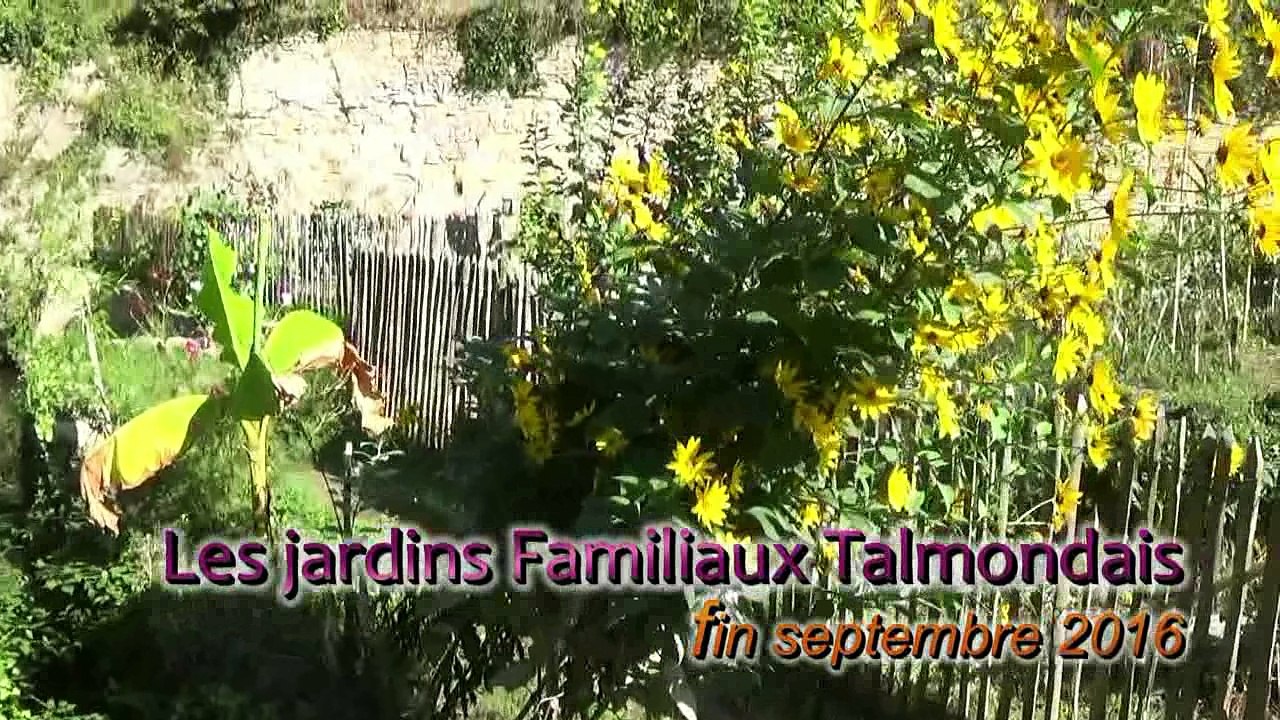 Jardin Familiaux Talmondais en septembre 2016