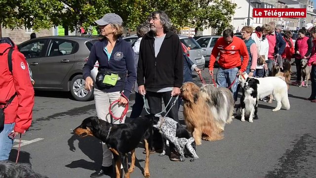 Paimpol. Le club canin du Goëlo prépare un rendez-vous national d'obéissance pour 2017