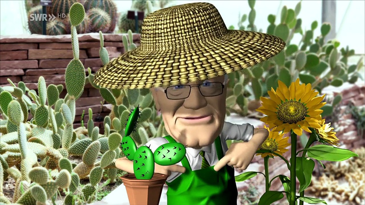 Württemberg!-Mein grüner Kaktus-