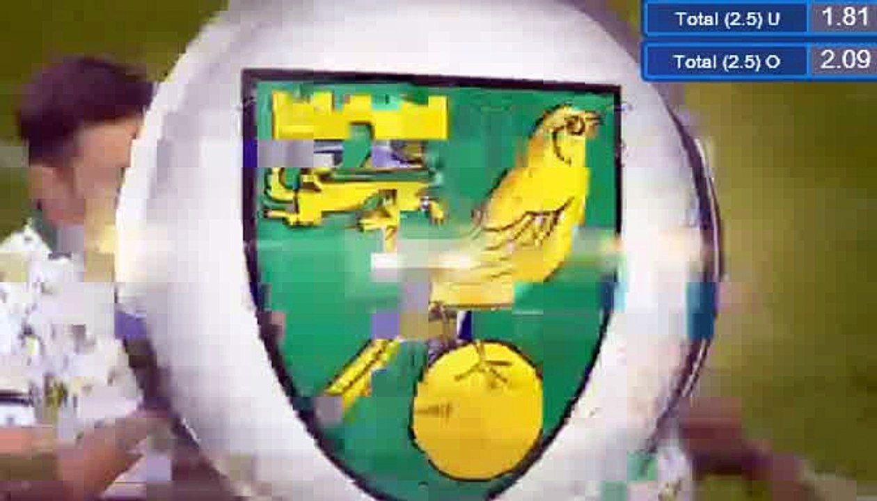 0-1 Cameron Jerome Goal HD - Wolverhampton 0-1 Norwich City 01.10.2016 HD