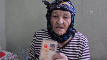 Osmaniye'nin Asırlık Çınarı