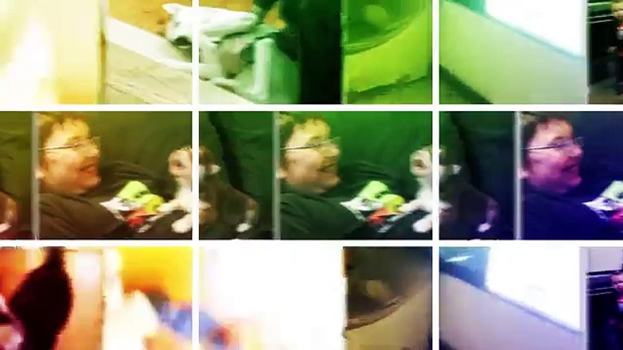 Funny Husky Videos from the JukinVideo Vault try to not laugh