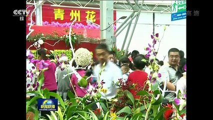 辽宁大妈：我们太幸福了，所以每天就是个乐