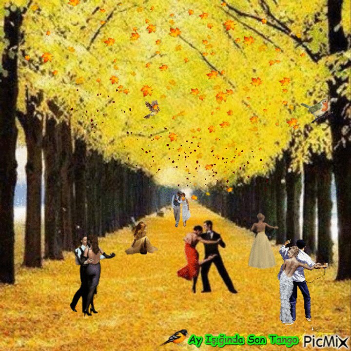 Deniz Toprak - Hazan nedir