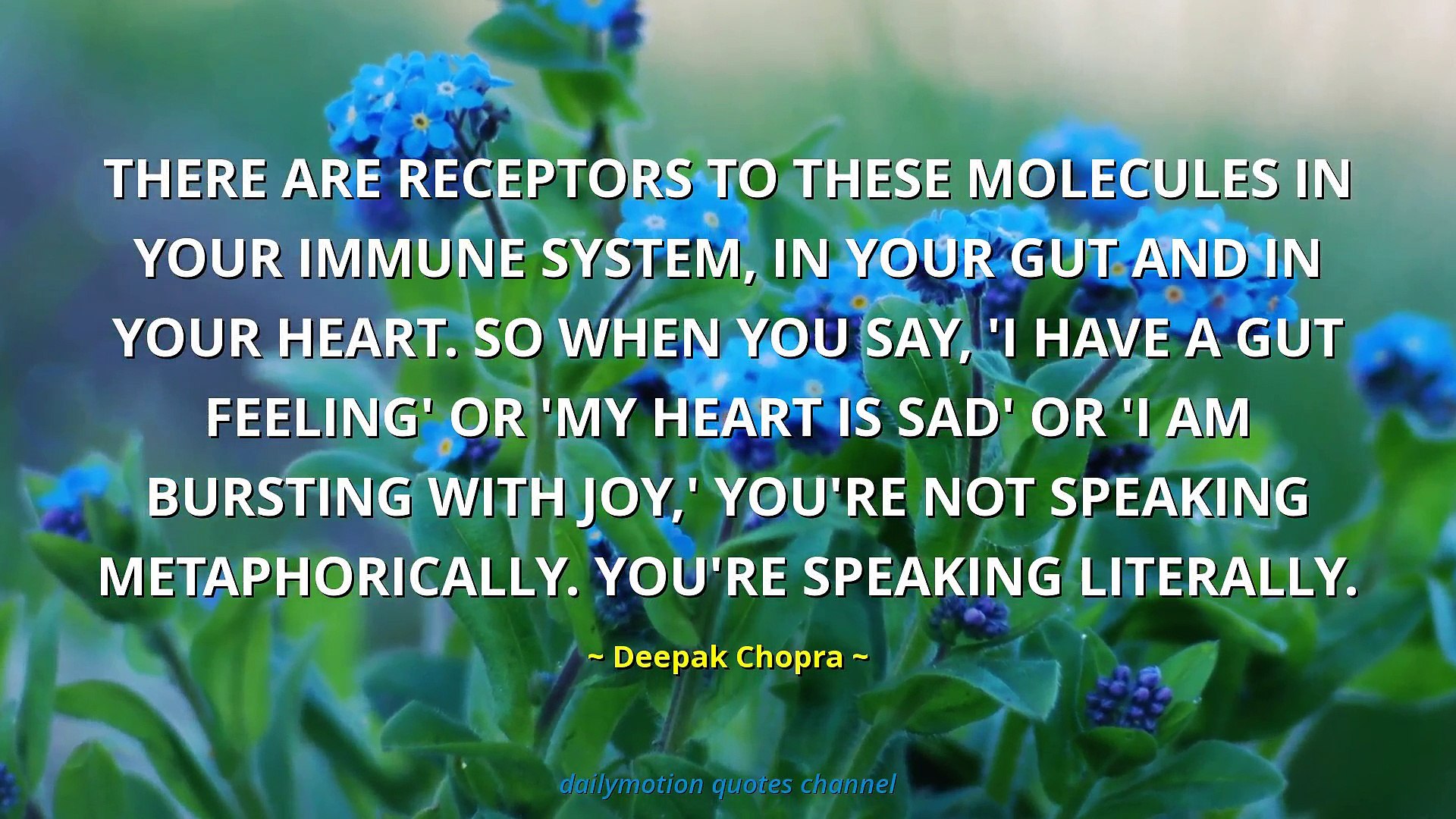 Deepak Chopra Quotes 5 Video Dailymotion