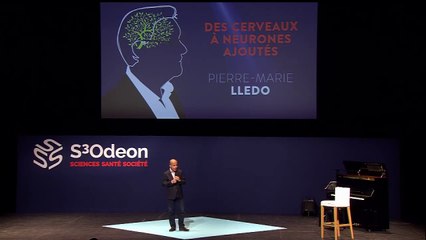 Notre cerveaux à neurones ajoutés