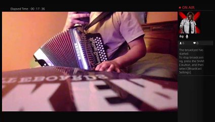 knockouts_1_909 accordeon messing around (3)