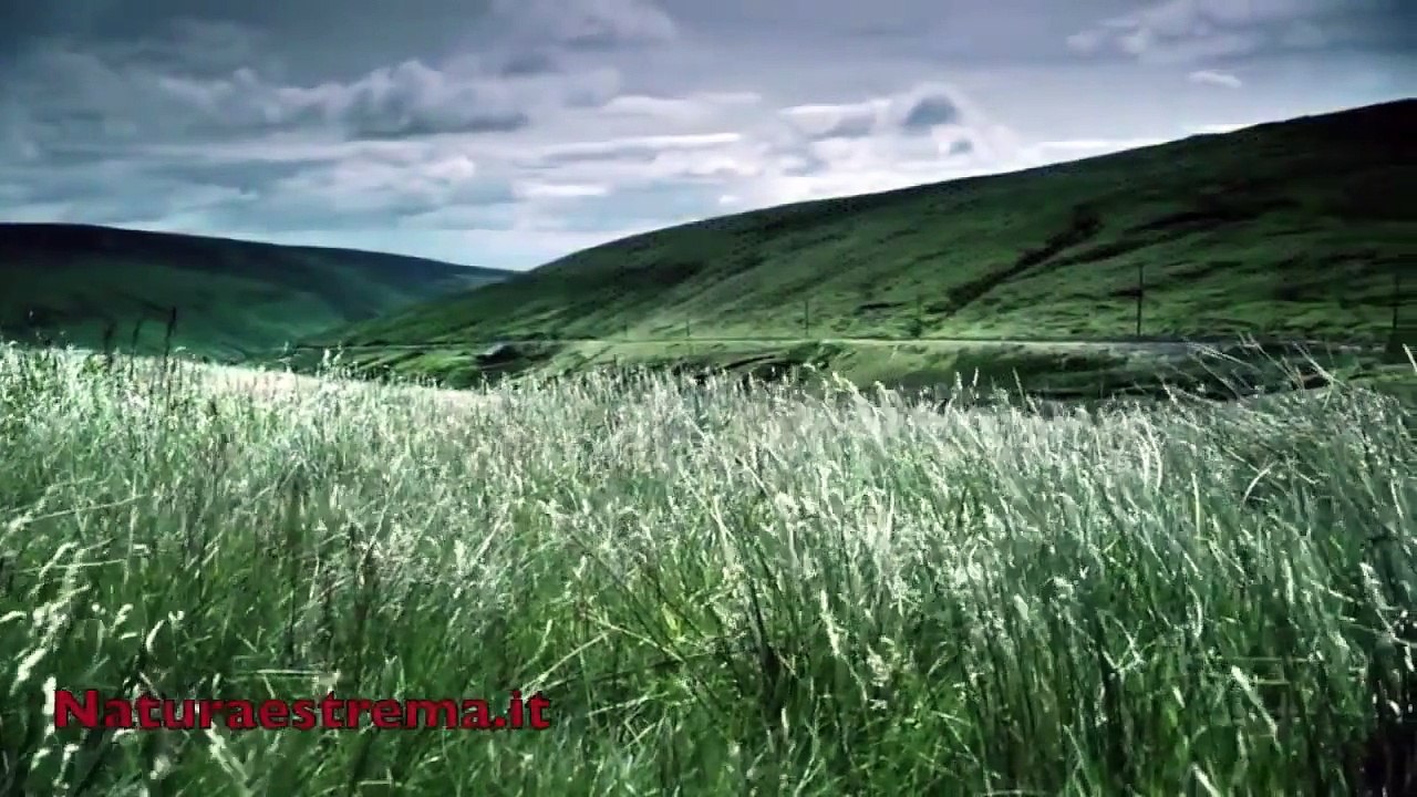 Isle of man TT 2016 High Speed - Tourist Trophy ♚ Road Race single track by 2013-FeytV6SlfKw