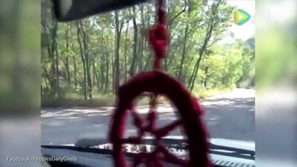 The terrifying moments when animals attack tourists on safar - wildanimals.top