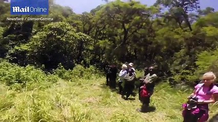 The terrifying moments when animals attack tourists on safar 6