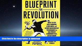 FAVORIT BOOK Blueprint for Revolution: How to Use Rice Pudding, Lego Men, and Other Nonviolent