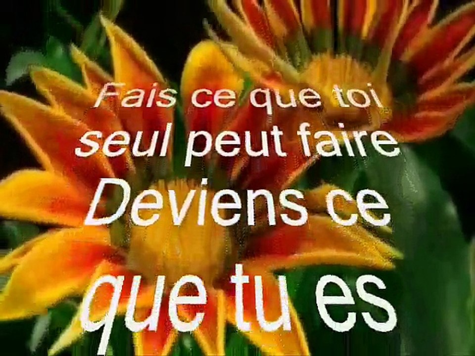 Bon dimanche !!!