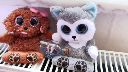 Oda Turu Melisa & Şeyma - Oyun Hamuru TV Hamur Abla Vlog