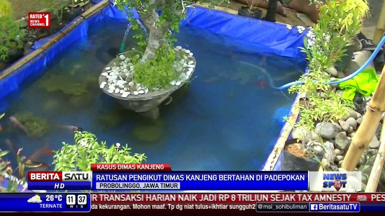 Para Pengikut Setia Dimas Kanjeng Bertahan di Padepokan