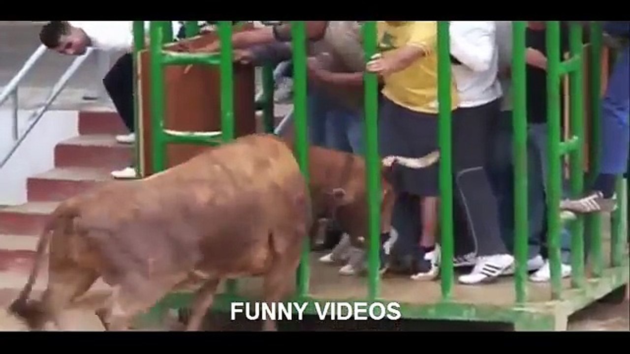 Bullfighting funny videos 2016 | awesome bullfighting Crazy bull attack people