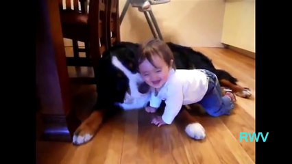 Win Luck Compilation of 2011 Part 4