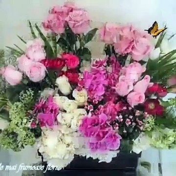 Bana Neyin Eksik Diye Sorma Hayat