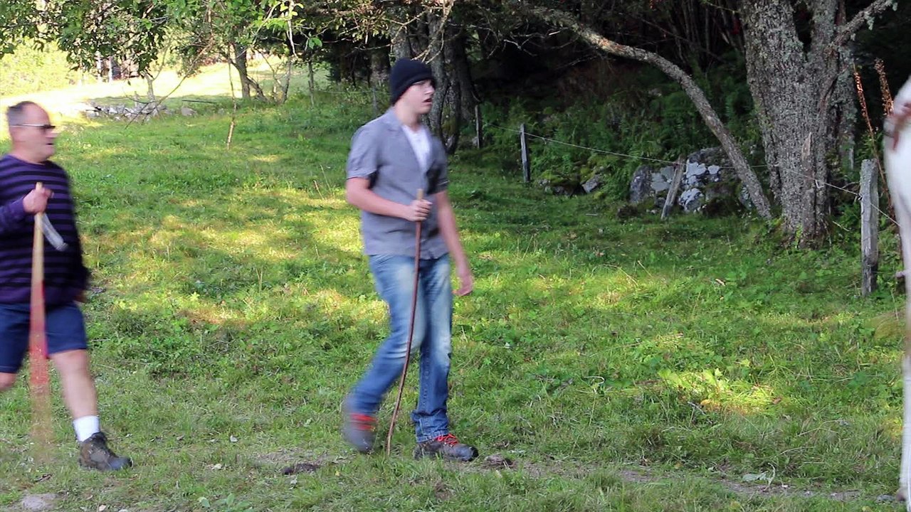 Transhumance Vosges Septembre 2016