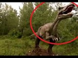 Dinosaur caught on video monsters actually existed caught on video 2016