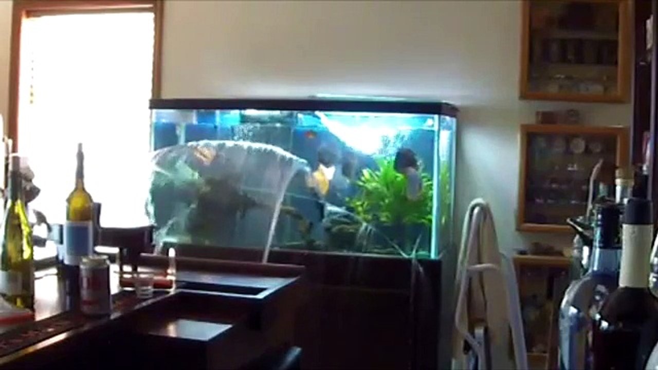 aquarium crack