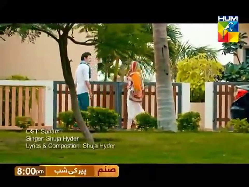Sanam Full OST Video Song - Hum Tv - Talefeed.com