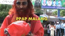 PPAP Pen Pineapple Apple Pen Punjabi Version