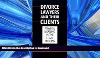 FAVORIT BOOK Austin Sarat: Divorce Lawyers and Their Clients : Power and Meaning in the Legal