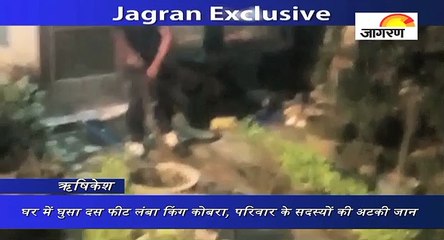 घर में घुसा दस फीट लंबा किंग कोबरा, परिवार के सदस्‍यों की अटकी जान