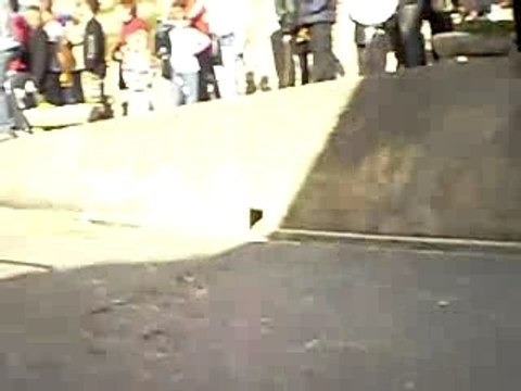 féria d'aigues-vives 2007