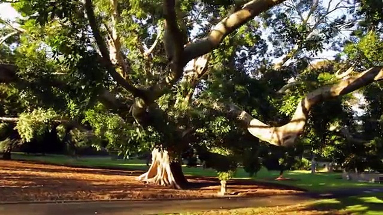 Australia - Land Down Under in 4K - DEVINSUPERTRAMP