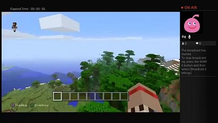 My first video minecraft (2)