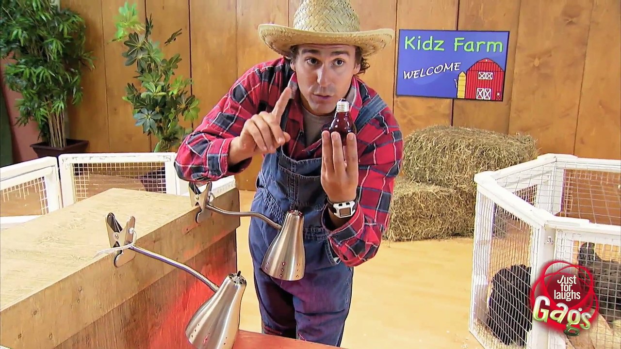Cute Hatching Ostrich Babies Prank