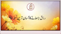 a small doing to increase your rizq by Maulana Tariq Jameel